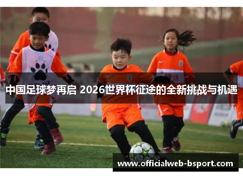 中国足球梦再启 2026世界杯征途的全新挑战与机遇